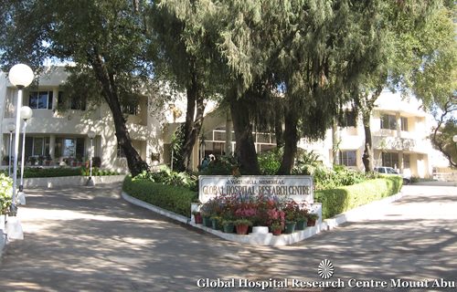 Global-Hospital-lg-500x320_c